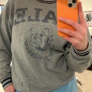 Gray Yale Sweater